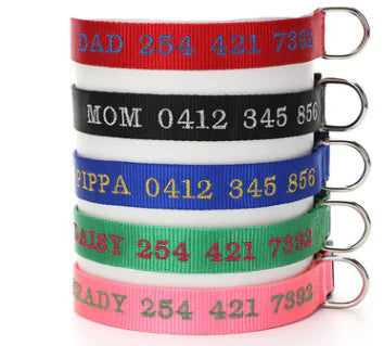 Collier pour Chien avec Protection Anti-Perte et Design Brodé