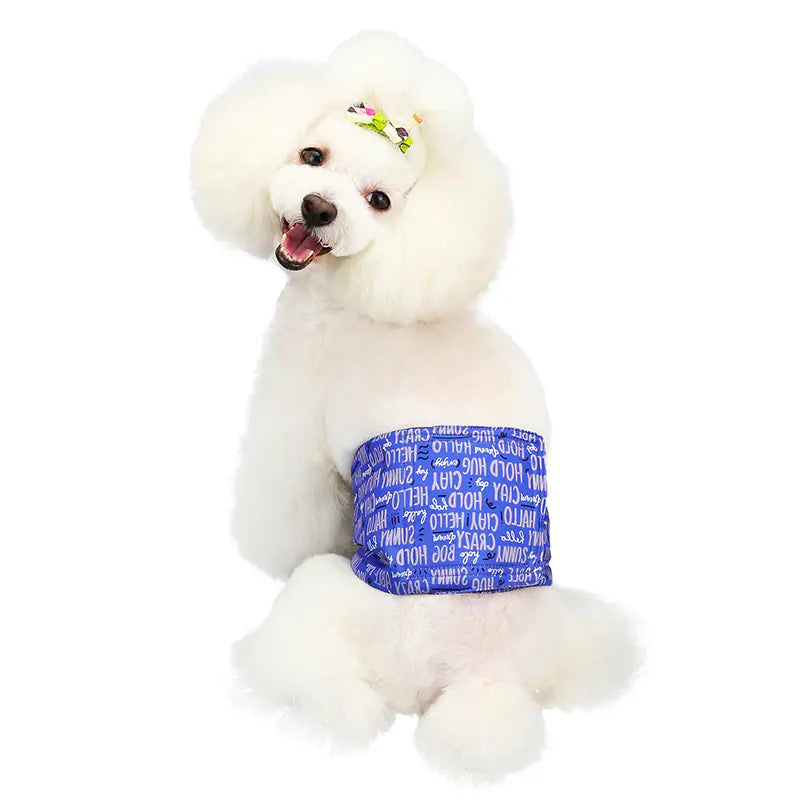 Culottes imperméables pour chiens avec design absorbant