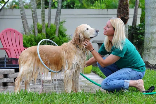 Anneau de Douche pour Chiens avec Pistolet à Eau Circulaire