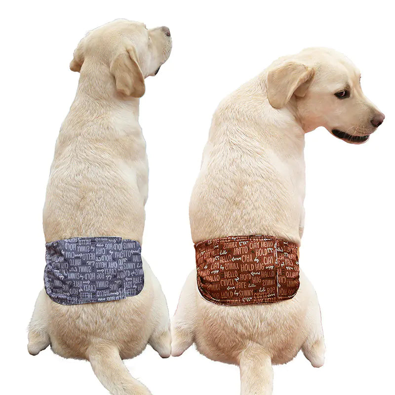 Culottes imperméables pour chiens avec design absorbant