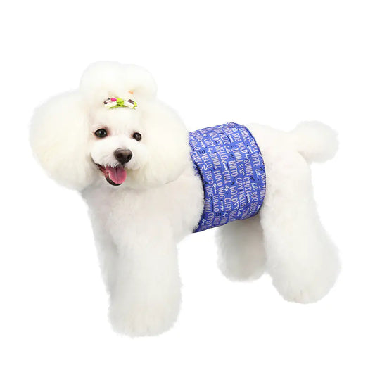Culottes imperméables pour chiens avec design absorbant