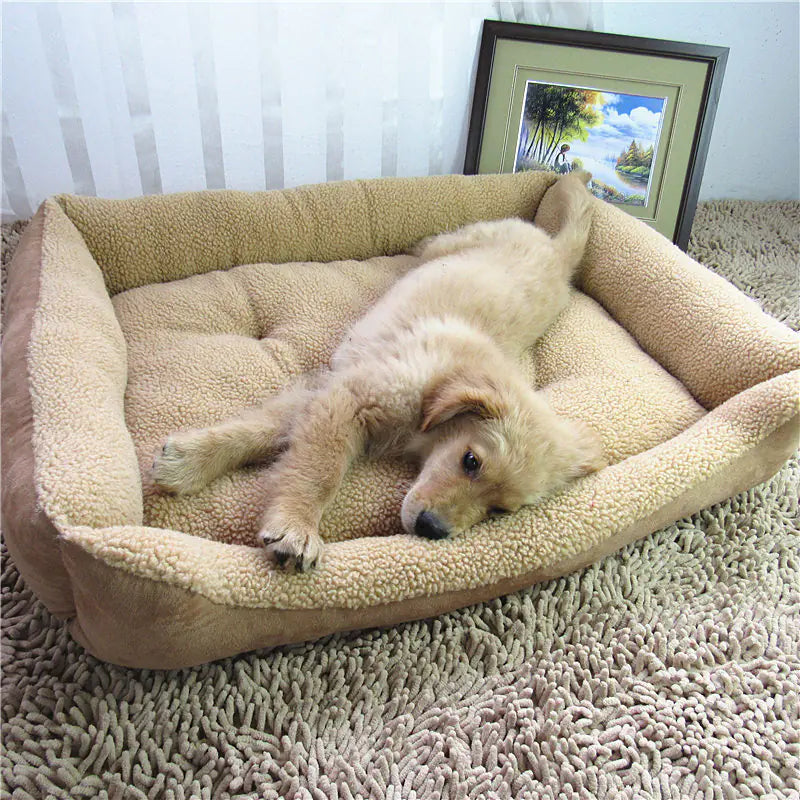 Lit et Maison pour Animaux Teddy Golden Retriever