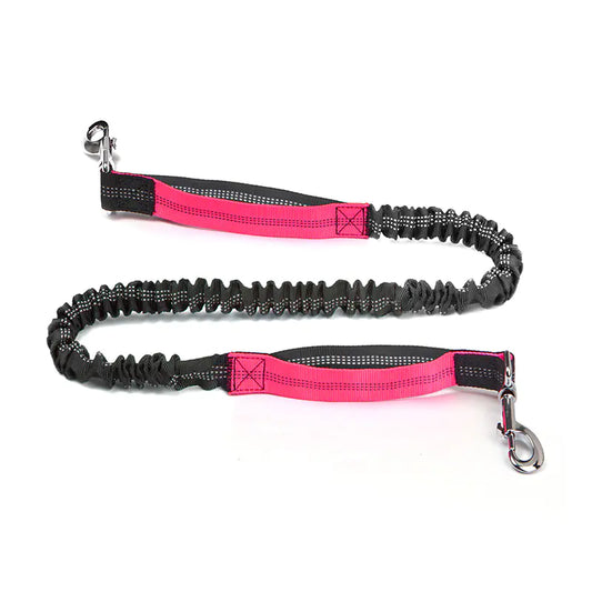 Sac banane de course transfrontalier pour animaux de compagnie  avec laisse