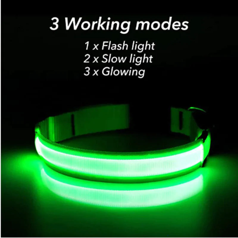 Collier réglable LED pour chien clignotant à lumière clignotante avec sécurité imperméable