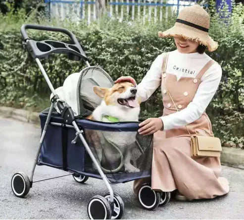 Poussette Portable pour Animaux
